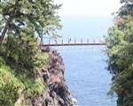 伊豆伊東の定番観光 城ヶ崎海岸の吊橋と遊覧船で海と陸を満喫