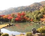 写真で見る京都嵐山 秋の紅葉（天龍寺、常寂光寺、二尊院、祇王寺）