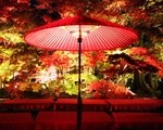 京都の秋！永観堂、南禅寺天授庵、金戒光明寺の紅葉のライトアップと混雑状況