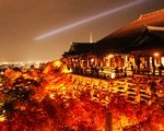 清水寺、高台寺、圓徳院の京都紅葉ライトアップ！おすすめと混雑状況は？