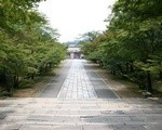 京都の桜の名所 世界遺産の仁和寺の夏の景色と見どころ。近くに龍安寺も。