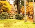 写真で見る京都大原の紅葉と混雑（三千院、寂光院、宝泉院、勝林院、実光院）
