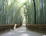 世界遺産の天龍寺に飛行機の観音様！？竹林の道が徒歩圏内。京都嵯峨嵐山を観光