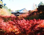 京都東福寺の紅葉と混雑がスゴイ！秋の特別拝観の龍吟庵も必見！見頃は11月。