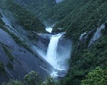 屋久島 雨の日は外せない大川の滝と千尋の滝