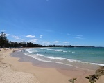 シドニー オペラハウスからビーチまでフェリーで約20分！マンリービーチが綺麗すぎる！