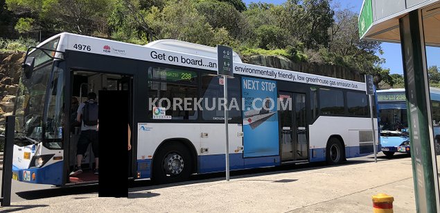 タロンガ動物園 バス