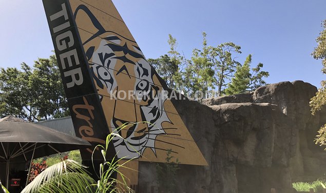 タロンガ動物園 虎