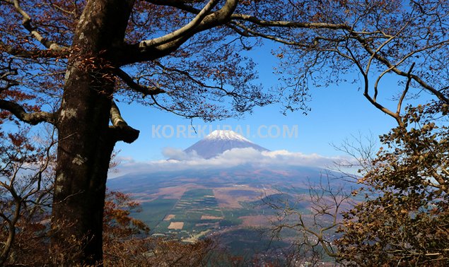 越前岳～富士見台 富士山