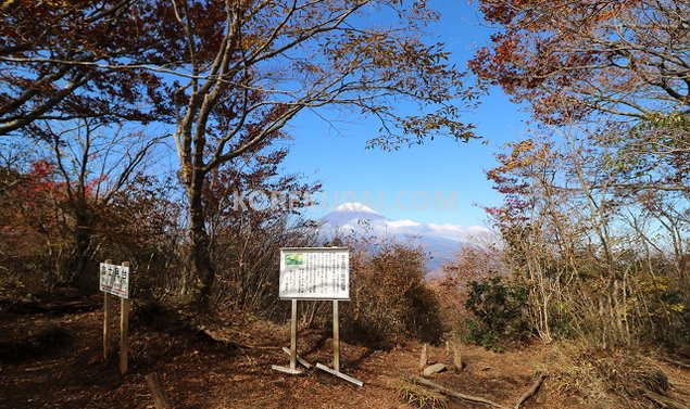 愛鷹山 富士見台 富士山