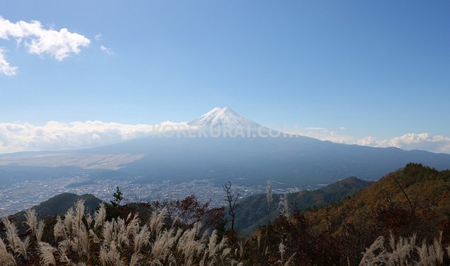 三ツ峠山鉄塔から富士山