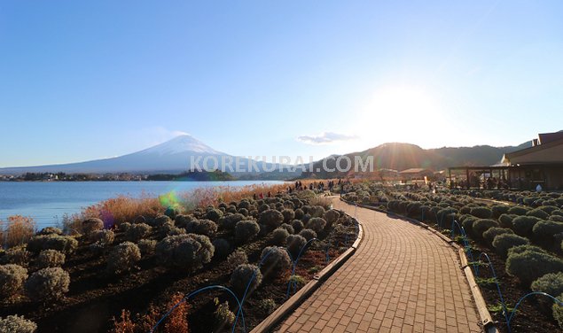 大石公園と富士山
