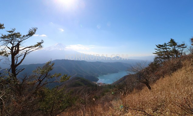 毛無山頂上付近 富士山・西湖