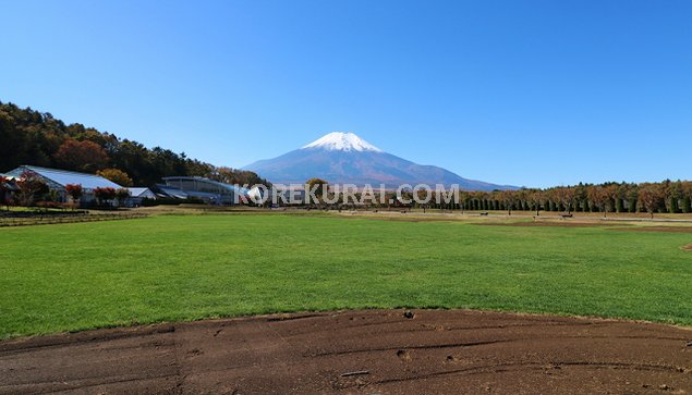 花の都公園 芝生 富士山