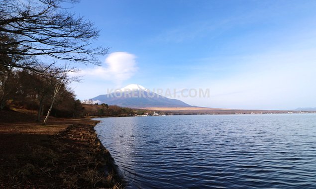 山中湖 旭日丘公園 富士山