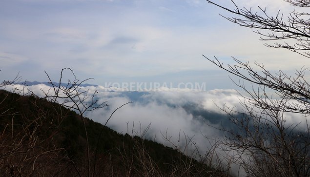明神山 山頂付近 雲海