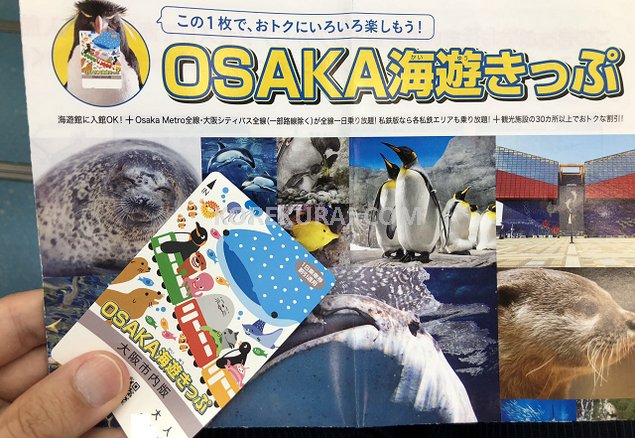 海遊館 OSAKA海遊きっぷ