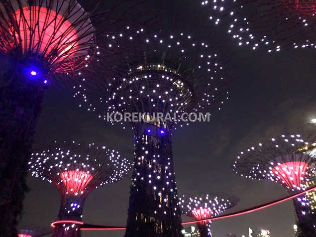 シンガポール ガーデンラプソディ ライトアップ