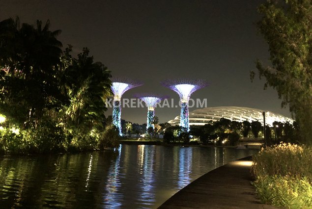 シンガポール ガーデンズバイザベイ 夜景
