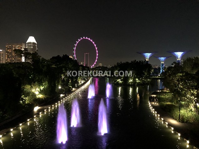 シンガポール ガーデンズバイザベイ 夜景２