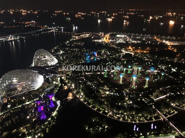 シンガポール ガーデンラプソディ マリーナベイサンズの展望台から見える？